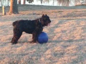 Fall was beautiful. Playing ball was great fun