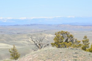 More views of the gentle changing landscape with Wind River Range Mt.s in the background.