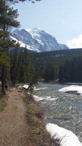 View from our camp at lake louise 