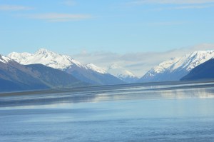 The beautiful Turnagain  with the Alaska range in the back ground