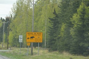 Sometimes these signs say high crash area with the picture of  moose on it as well