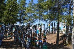 One view of all the signs