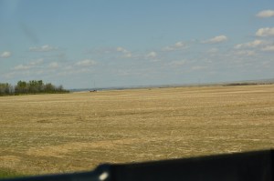 Vast fields of what appears to be wheat stubble.