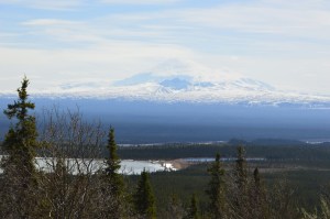 Beautiful Mount Sanford