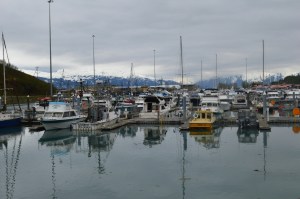 Fshing boats in the pirt of Valdez