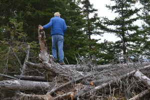 Randy trying to see what the view would be like