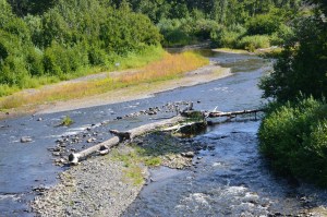 The Anchor river. Where we do our Laundry. LOL However randy does love ro fish here.