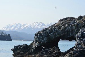 Another beautiful rock formation on the way to seldovia