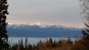 The view from our Rv .