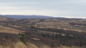 The Hills are beautiful even if the brilliant colors are gone