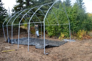 Randy putting up the tent. You know he did it all himself.